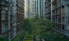 小区物业风险大吗？