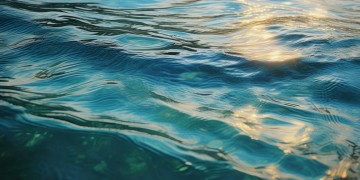 海成物业是国企吗？